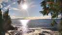 ./images/koeye/fitz-hugh/20250929/fitz-hugh20250929_164501M.jpg