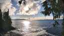 ./images/koeye/fitz-hugh/20250929/fitz-hugh20250929_165501M.jpg