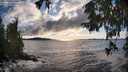 ./images/koeye/fitz-hugh/20250929/fitz-hugh20250929_173502M.jpg