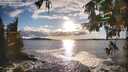 ./images/koeye/fitz-hugh/20250929/fitz-hugh20250929_175001M.jpg