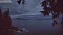 ./images/koeye/fitz-hugh/20250930/fitz-hugh20250930_065501M.jpg