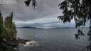 ./images/koeye/fitz-hugh/20250930/fitz-hugh20250930_074002M.jpg