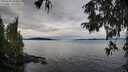 ./images/koeye/fitz-hugh/20250930/fitz-hugh20250930_103501M.jpg