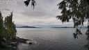 ./images/koeye/fitz-hugh/20250930/fitz-hugh20250930_104501M.jpg