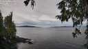 ./images/koeye/fitz-hugh/20250930/fitz-hugh20250930_110502M.jpg