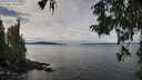 ./images/koeye/fitz-hugh/20250930/fitz-hugh20250930_115001M.jpg