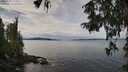 ./images/koeye/fitz-hugh/20250930/fitz-hugh20250930_115502M.jpg