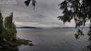 ./images/koeye/fitz-hugh/20250930/fitz-hugh20250930_125502M.jpg