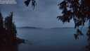 ./images/koeye/fitz-hugh/20250930/fitz-hugh20250930_193001M.jpg