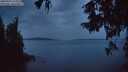 ./images/koeye/fitz-hugh/20250930/fitz-hugh20250930_193501M.jpg