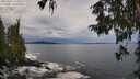 ./images/koeye/fitz-hugh/20251001/fitz-hugh20251001_111001M.jpg