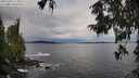 ./images/koeye/fitz-hugh/20251001/fitz-hugh20251001_112001M.jpg