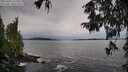 ./images/koeye/fitz-hugh/20251001/fitz-hugh20251001_115501M.jpg