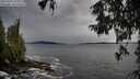 ./images/koeye/fitz-hugh/20251001/fitz-hugh20251001_140002M.jpg