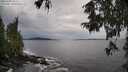 ./images/koeye/fitz-hugh/20251001/fitz-hugh20251001_144002M.jpg