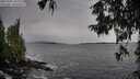 ./images/koeye/fitz-hugh/20251001/fitz-hugh20251001_150001M.jpg
