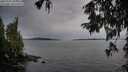 ./images/koeye/fitz-hugh/20251001/fitz-hugh20251001_184002M.jpg