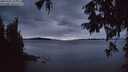 ./images/koeye/fitz-hugh/20251001/fitz-hugh20251001_193502M.jpg