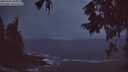 ./images/koeye/fitz-hugh/20251002/fitz-hugh20251002_070001M.jpg