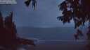 ./images/koeye/fitz-hugh/20251002/fitz-hugh20251002_070501M.jpg