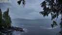 ./images/koeye/fitz-hugh/20251002/fitz-hugh20251002_074502M.jpg