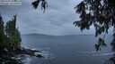 ./images/koeye/fitz-hugh/20251002/fitz-hugh20251002_075001M.jpg