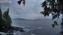 ./images/koeye/fitz-hugh/20251002/fitz-hugh20251002_075501M.jpg
