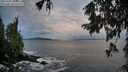 ./images/koeye/fitz-hugh/20251002/fitz-hugh20251002_080501M.jpg