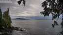 ./images/koeye/fitz-hugh/20251002/fitz-hugh20251002_083001M.jpg