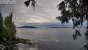 ./images/koeye/fitz-hugh/20251002/fitz-hugh20251002_083501M.jpg