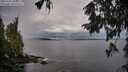 ./images/koeye/fitz-hugh/20251002/fitz-hugh20251002_084501M.jpg