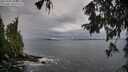 ./images/koeye/fitz-hugh/20251002/fitz-hugh20251002_085001M.jpg