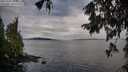 ./images/koeye/fitz-hugh/20251002/fitz-hugh20251002_092501M.jpg
