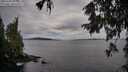 ./images/koeye/fitz-hugh/20251002/fitz-hugh20251002_093001M.jpg