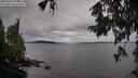 ./images/koeye/fitz-hugh/20251002/fitz-hugh20251002_093501M.jpg