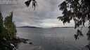./images/koeye/fitz-hugh/20251002/fitz-hugh20251002_094501M.jpg
