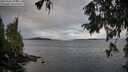 ./images/koeye/fitz-hugh/20251002/fitz-hugh20251002_095501M.jpg