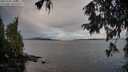./images/koeye/fitz-hugh/20251002/fitz-hugh20251002_100501M.jpg