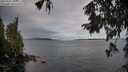 ./images/koeye/fitz-hugh/20251002/fitz-hugh20251002_102001M.jpg