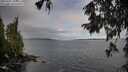 ./images/koeye/fitz-hugh/20251002/fitz-hugh20251002_102501M.jpg