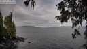 ./images/koeye/fitz-hugh/20251002/fitz-hugh20251002_104502M.jpg