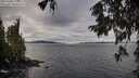 ./images/koeye/fitz-hugh/20251002/fitz-hugh20251002_110501M.jpg