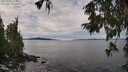 ./images/koeye/fitz-hugh/20251002/fitz-hugh20251002_113502M.jpg