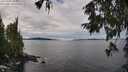 ./images/koeye/fitz-hugh/20251002/fitz-hugh20251002_114001M.jpg