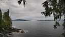 ./images/koeye/fitz-hugh/20251002/fitz-hugh20251002_124501M.jpg