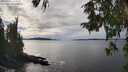 ./images/koeye/fitz-hugh/20251002/fitz-hugh20251002_143501M.jpg