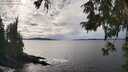 ./images/koeye/fitz-hugh/20251002/fitz-hugh20251002_144501M.jpg