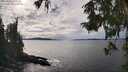 ./images/koeye/fitz-hugh/20251002/fitz-hugh20251002_145001M.jpg