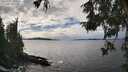 ./images/koeye/fitz-hugh/20251002/fitz-hugh20251002_151001M.jpg