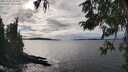 ./images/koeye/fitz-hugh/20251002/fitz-hugh20251002_153502M.jpg